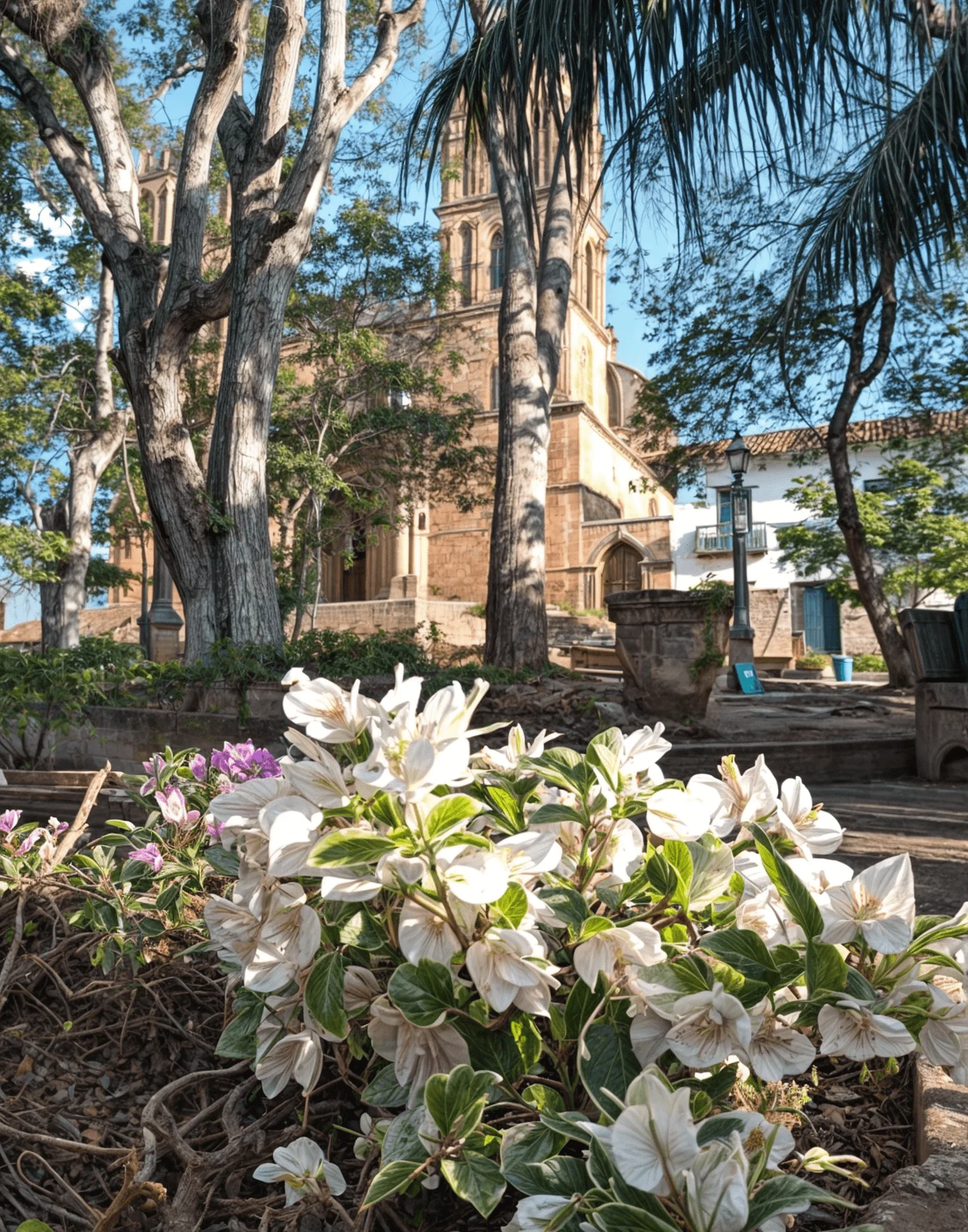 Parque Principal de Barichara cada día mejor conservado​