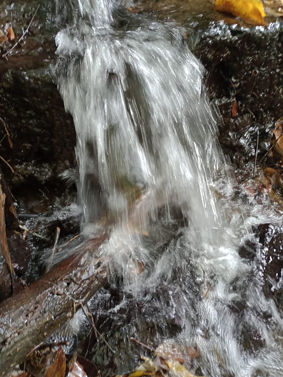 AGUA PASO POR AQUÍ…