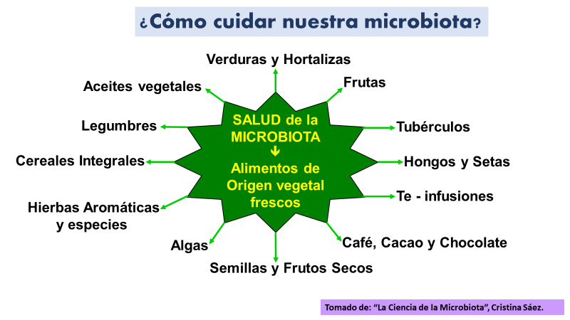 Mis amigas las bacterias y el fracaso de las dietas Parte 2.