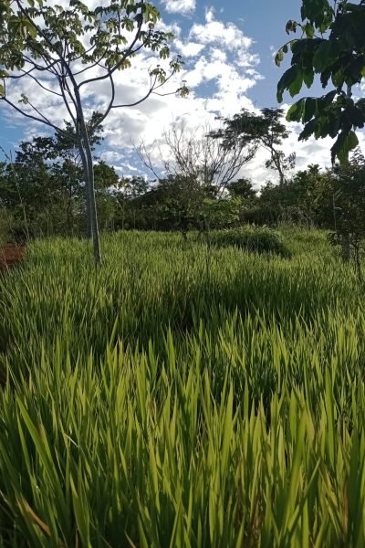 Quince años celebra el escenario natural mejor conservado en Barichara